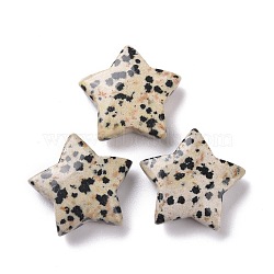 Natural Dalmatian Jasper Beads, No Hole, Star, 24x25x8mm(G-P469-12A-04)