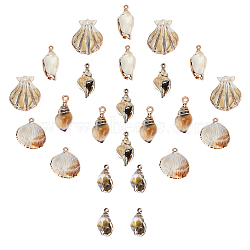 Electroplate Acrylic Pendants, Imitation Gemstone Style, Shell & Spiral Shell, Floral White, 28x28x6.5mm, Hole: 1.8mm, 24pcs/box(OACR-SC0001-02)