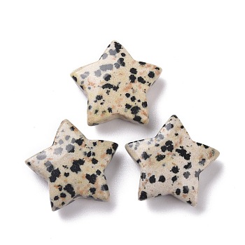 Natural Dalmatian Jasper Beads, No Hole, Star, 24x25x8mm