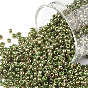 TOHO Round Seed Beads, Japanese Seed Beads, (1702) Gilded Marble Green, 11/0, 2.2mm, Hole: 0.8mm, about 1110pcs/bottle, 10g/bottle