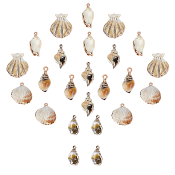 Electroplate Acrylic Pendants, Imitation Gemstone Style, Shell & Spiral Shell, Floral White, 28x28x6.5mm, Hole: 1.8mm, 24pcs/box