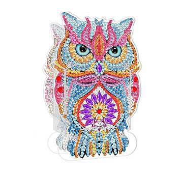 5D DIY Owl Pattern Animal Diamond Painting Pencil Case Ornaments Kits, with Resin Rhinestones, Sticky Pen, Tray Plate, Glue Clay and Acrylic Plate, Owl Pattern, 143x90x2mm