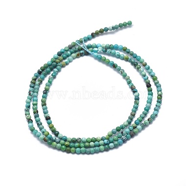 Natural HuBei Turquoise Beads Strands(G-A177-04-15)-2