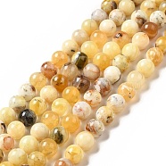 Natural Yellow Opal Beads Strands, Round, 10mm, Hole: 1mm, about 39pcs/strand, 15.16''(38.5cm)(G-G992-A02-C)