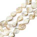 Handmade Shell Beads Strands, Rhombus, Goldenrod, Seashell Color, 18~20x14~20x3~12mm, Hole: 1mm, about 18~20pcs/strand, 14.76~15.35 inch(37.5~39cm)(PBB471-1)