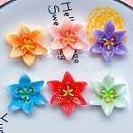 Opaque Reisn Cabochons, Flower, Mixed Color, 29x27x8mm(RESI-L050-03A)