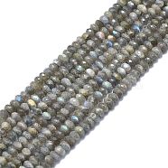 Natural Labradorite Beads Strands, Faceted, Rondelle, 7.5~8.5x5~6mm, Hole: 0.8mm, about 58~65pcs/strand, 15.35 inch(39cm)(G-F715-080)