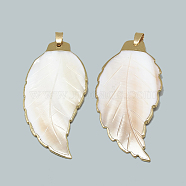 Electroplate Freshwater Shell Big Pendants, with Brass Findings, Leaf, Golden, Seashell Color, 64~66x30~32x3mm, Hole: 4x3mm(SHEL-S273-009)