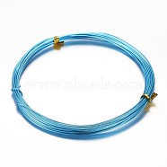 Round Aluminum Wire, Bendable Metal Craft Wire, for Beading Jewelry Craft Making, Deep Sky Blue, 18 Gauge, 1mm, about 32.8 Feet(10m)/roll(X-AW-D009-1mm-10m-16)