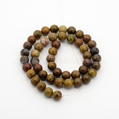 Bois pétrifié naturel brins de perles rondes(G-P070-64-4mm)-2