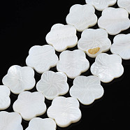 Natural Freshwater Shell Beads Strands, Flower, Seashell Color, 19x19x2~3.5mm, Hole: 0.9mm, about 20pcs/strand, 14.69 inch~14.96 inch(37.3cm~38cm)(SHEL-N026-188)