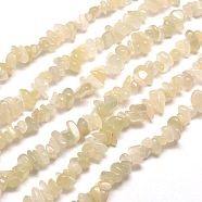 Natural White Moonstone Chip Bead Strands, 5~8x5~8mm, Hole: 1mm, about 31.5 inch(G-M205-65)