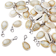 30Pcs Cowrie Shell Pendant Decorations, with 304 Stainless Steel Lobster Claw Clasps, Stainless Steel Color, 32~35mm, Pendant: 19~21x13~14x8~10mm(HJEW-HY0001-02)