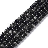Natural Silver Obsidian Beads Strands, Round, 6mm, Hole: 1mm, about 66pcs/strand, 15.55 inch(39.5cm)(X-G-D083-01D)