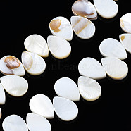 Natural Freshwater Shell Beads Strands, Teardrop, Seashell Color, 15x10x2mm, Hole: 1mm, about 48pcs/strand, 15~15.75 inch(38.1~40cm)(SHEL-Q024-008)