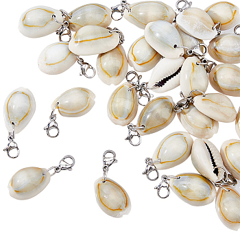 30Pcs Cowrie Shell Pendant Decorations, with 304 Stainless Steel Lobster Claw Clasps, Stainless Steel Color, 32~35mm, Pendant: 19~21x13~14x8~10mm