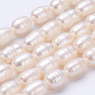 Natural Cultured Freshwater Pearl Beads Strands, Rice, Old Lace, 11~15x9~10mm, Hole: 0.5mm, about 26pcs/strand, 14.2 inch(PEAR-P002-14)