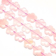 Natural Rose Quartz Flower Beads Strands, 20x6.5mm, Hole: 1mm, about 19pcs/strand, 15.74 inch(G-L241A-05)