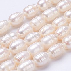 Natural Cultured Freshwater Pearl Beads Strands, Rice, Old Lace, 11~15x9~10mm, Hole: 0.5mm, about 26pcs/strand, 14.2 inches(PEAR-P002-14)
