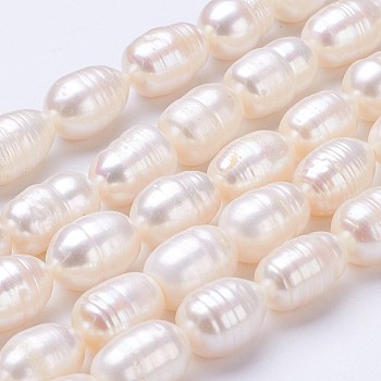 Natural Cultured Freshwater Pearl Beads Strands, Rice, Old Lace, 11~15x9~10mm, Hole: 0.5mm, about 26pcs/strand, 14.2 inch