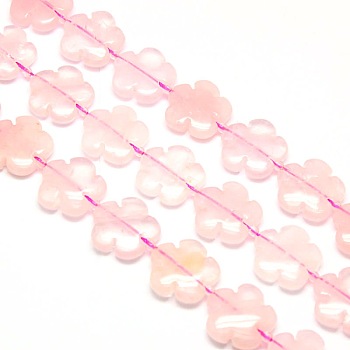 Natural Rose Quartz Flower Beads Strands, 20x6.5mm, Hole: 1mm, about 19pcs/strand, 15.74 inch