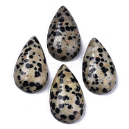 Natural Dalmatian Jasper Cabochons, Teardrop, 28~29x15~17x6~9mm(G-N326-72J)
