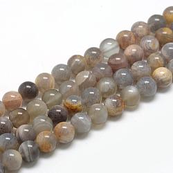 Natural Black Sunstone Beads Strands, Round, 10mm, Hole: 1mm, about 40pcs/strand, 15.7 inch(G-R446-10mm-33)