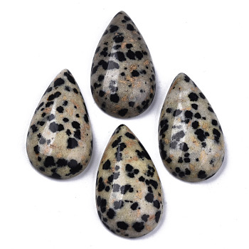 Natural Dalmatian Jasper Cabochons, Teardrop, 28~29x15~17x6~9mm