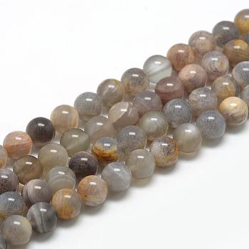 Natural Black Sunstone Beads Strands, Round, 10mm, Hole: 1mm, about 40pcs/strand, 15.7 inch