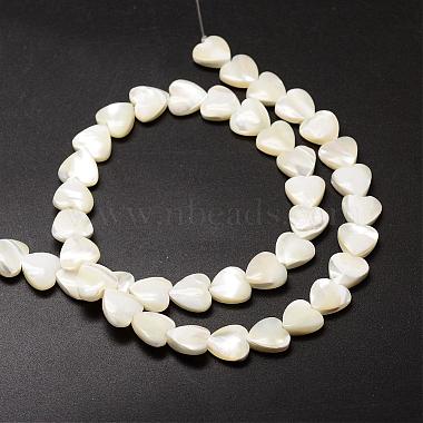 Natural Trochid Shell/Trochus Shell Beads Strands(SSHEL-K012-05)-2