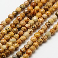 Natural Picture Jasper Beads Strands, Faceted Round, 3mm, Hole: 0.8mm, about 136pcs/strand, 16 inch(X-G-A129-3mm-15)