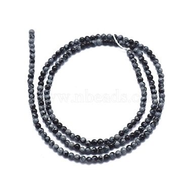 Natural Snowflake Obsidian Beads Strands(G-A177-04-21)-2
