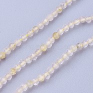 Natural Gold Rutilated Quartz Beads Strands, Faceted, Round, Lemon Chiffon, 2~2.5mm, Hole: 0.5mm, about 180~200pcs/strand, 14.5~16.1 inch(37~41cm)(G-F619-10A-2mm)