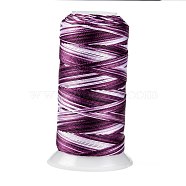 Segment Dyed Round Polyester Sewing Thread, for Hand & Machine Sewing, Tassel Embroidery, Purple, 3-Ply 0.2mm, about 1000m/roll(OCOR-Z001-A-14)