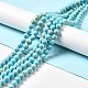 Synthetic Turquoise and Sea Shell Assembled Beads Strands(G-D482-01E-07)-1