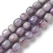 Natural Kunzite Beads Strands, Drum, 13~15x11~13x11~13mm, Hole: 1~1.2mm, about 29pcs/strand, 15.83''~15.94''(40.2~40.5cm)(G-K331-005A)