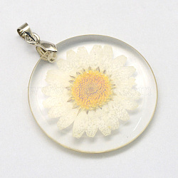 Alloy Resin Pendants, Flat Round, with Dried Flower inside, Platinum, Floral White, 32~32.5x4~4.5mm, Hole: 4x4mm(X-RESI-S321-07)