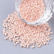 11/0 Grade A Glass Seed Beads, Cylinder, Uniform Seed Bead Size, Baking Paint, Misty Rose, about 1.5x1mm, Hole: 0.5mm, about 20000pcs/bag(SEED-S030-1493)