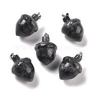 Natural Larvikite Pendants, with Rack Plating Brass Findings, Cadmium Free & Lead Free, Real Platinum Plated, Acorns, 29x20~21mm, Clasp: 5x4mm(G-M393-01P-06)