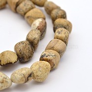 Natural Picture Jasper Bead Strands, Tumbled Stone, 5~7X5~7mm, Hole: 1mm, about 15.7 inch(G-P070-19)