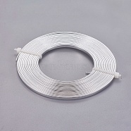 Aluminum Wire, Flat, Silver Color Plated, 3mm, about 5m/roll(AW-WH0002-01B-3mm)