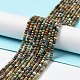 Natural HuBei Turquoise Beads Strands(G-J400-C02-02)-2