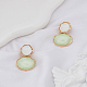 1 Pair Resin Dangle Stud Earrings(EJEW-LP0004-82B)-3