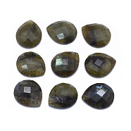 Natural Labradorite Cabochons, teardrop, Faceted, 18x15x4.5~5mm(G-L514-009)