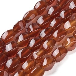 Natural Agate Beads Strands, Dyed & Heated, Twist, Sienna, 12x8x8mm, Hole: 1.2mm, about 33pcs/strand, 16.34''(41.5cm)(G-G172-01C)