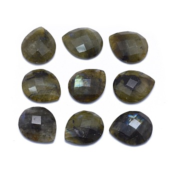 Natural Labradorite Cabochons, teardrop, Faceted, 18x15x4.5~5mm