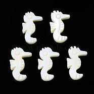 Natural Freshwater Shell Beads, Sea Horse, 16x10x3mm, Hole: 1mm(SHEL-N026-158)