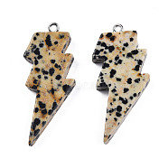 Natural Dalmatian Jasper Pendants, Lightning Bolt Charm, with Stainless Steel Color Tone 304 Stainless Steel Loops, 40~44.5x17~20x4.5~6mm, Hole: 2mm(G-N332-53-A14)