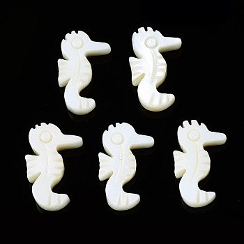 Natural Freshwater Shell Beads, Sea Horse, 16x10x3mm, Hole: 1mm