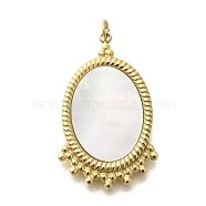 Ion Plating(IP) 304 Stainless Steel Pendants, Shell Oval Charms, Real 14K Gold Plated, 30x18.5x2.8mm, Hole: 3mm(STAS-K263-66G)